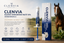 Clenvia Equine Dewormer Paste 10% (Fenbendazole): A Trusted Choice for Everyday Horse Care