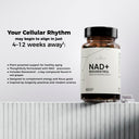 Clenvia NAD+ capsules – product photo 4