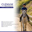 Clenvia Fenbendazole Equine Dewormer
