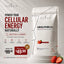 Clenvia Urolithin A+ Gummies – 90 Count